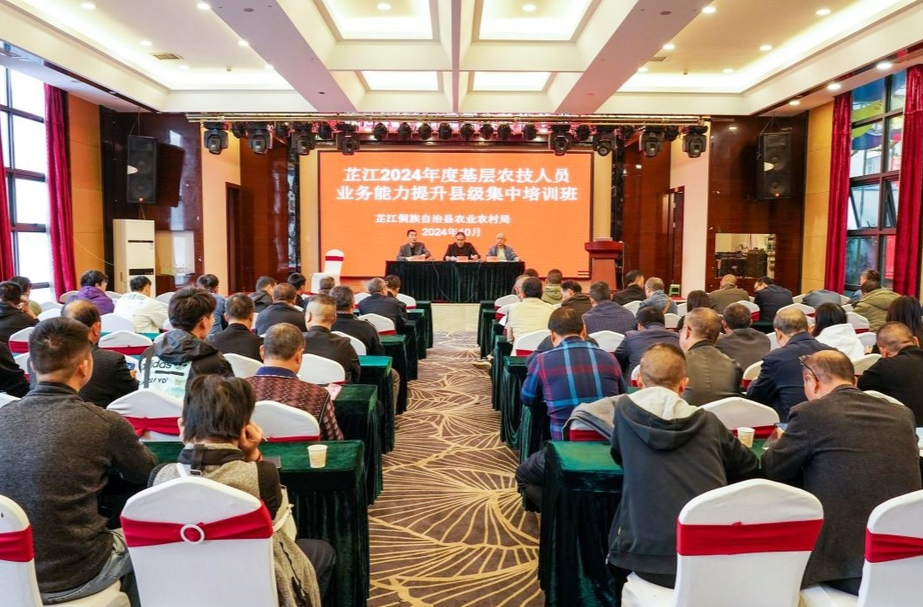 芷江开展2024年度基层农技人员业务能力提升县级集中培训