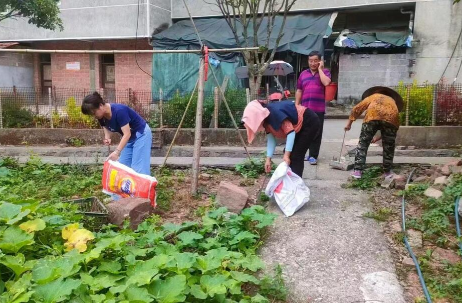 水宽乡：人居环境整治三管齐下，助力优化营商环境