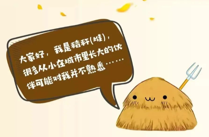 “秸 ”尽全力，防范未“燃”| 秸秆禁烧宣传