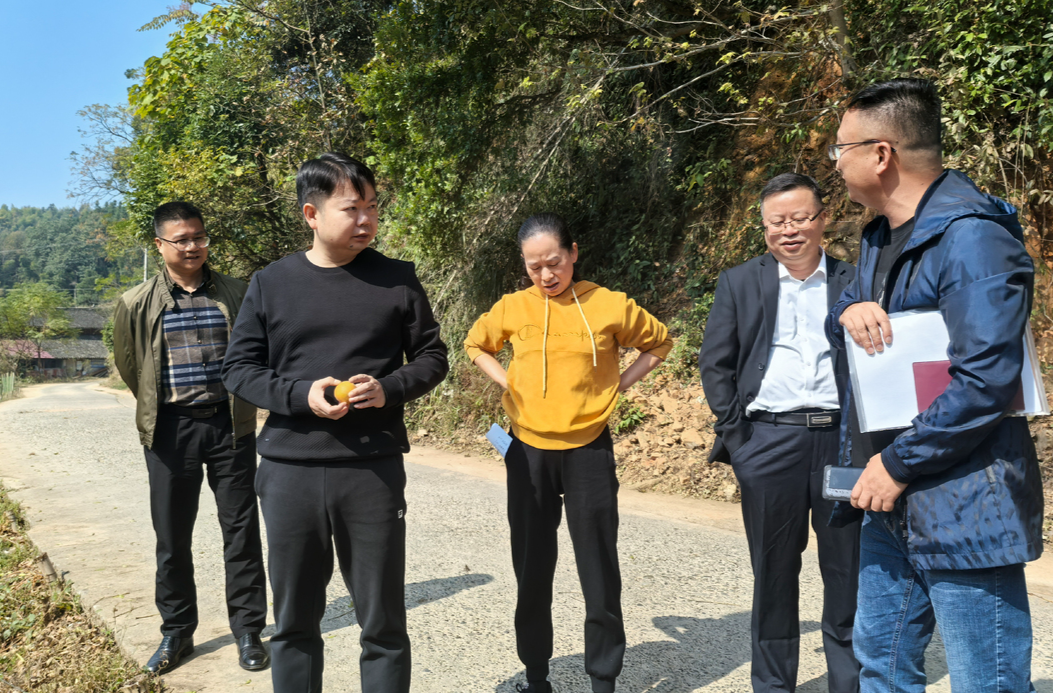 梁志平在禾梨坳、冷水溪调研乡村振兴和特色产业发展工作