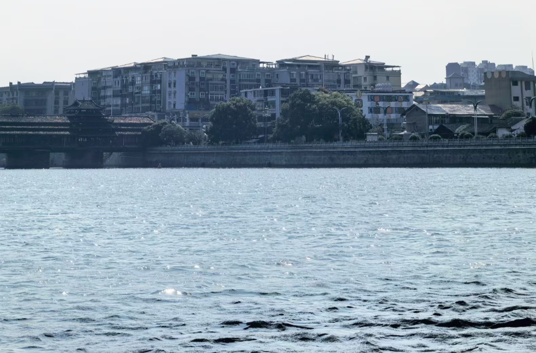 芷江选调生人才服务团开展和平湖沿岸水域调研活动