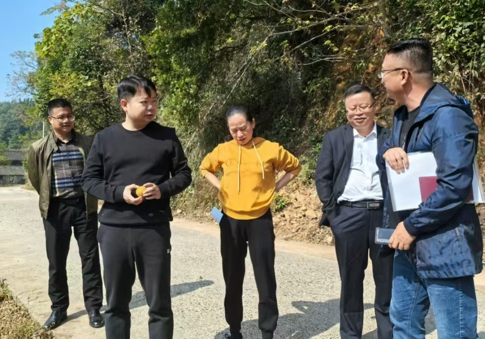 梁志平在禾梨坳、冷水溪调研乡村振兴和特色产业发展工作