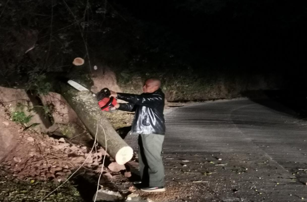 芷江公路建设养护中心：夜间紧急清理S555线台板丘村倒伏树木