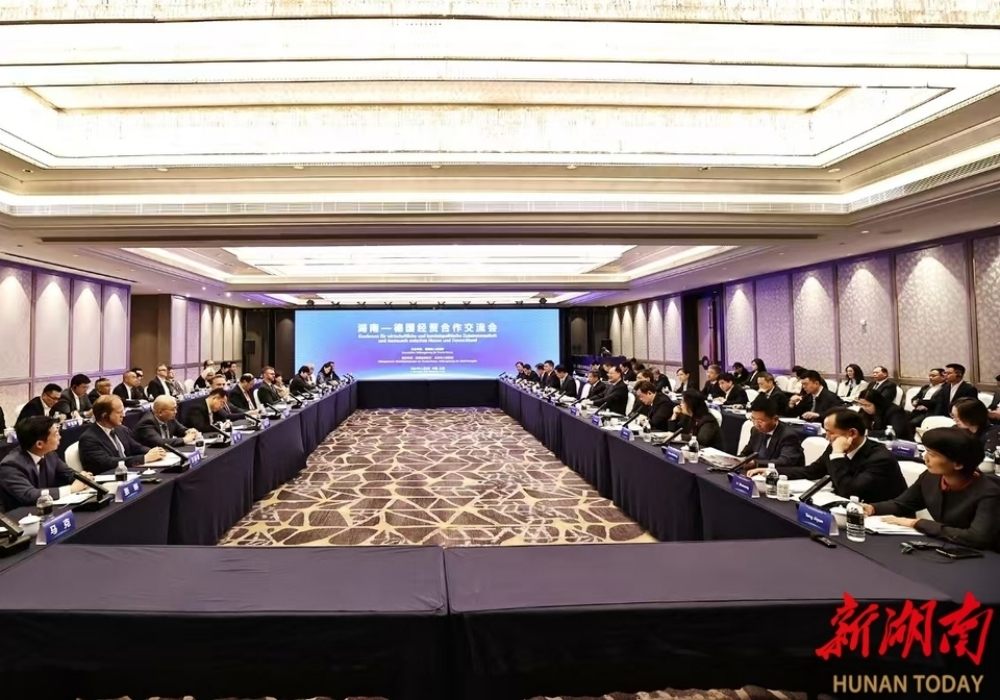 湖南-德国经贸合作交流会在沪举行 毛伟明讲话