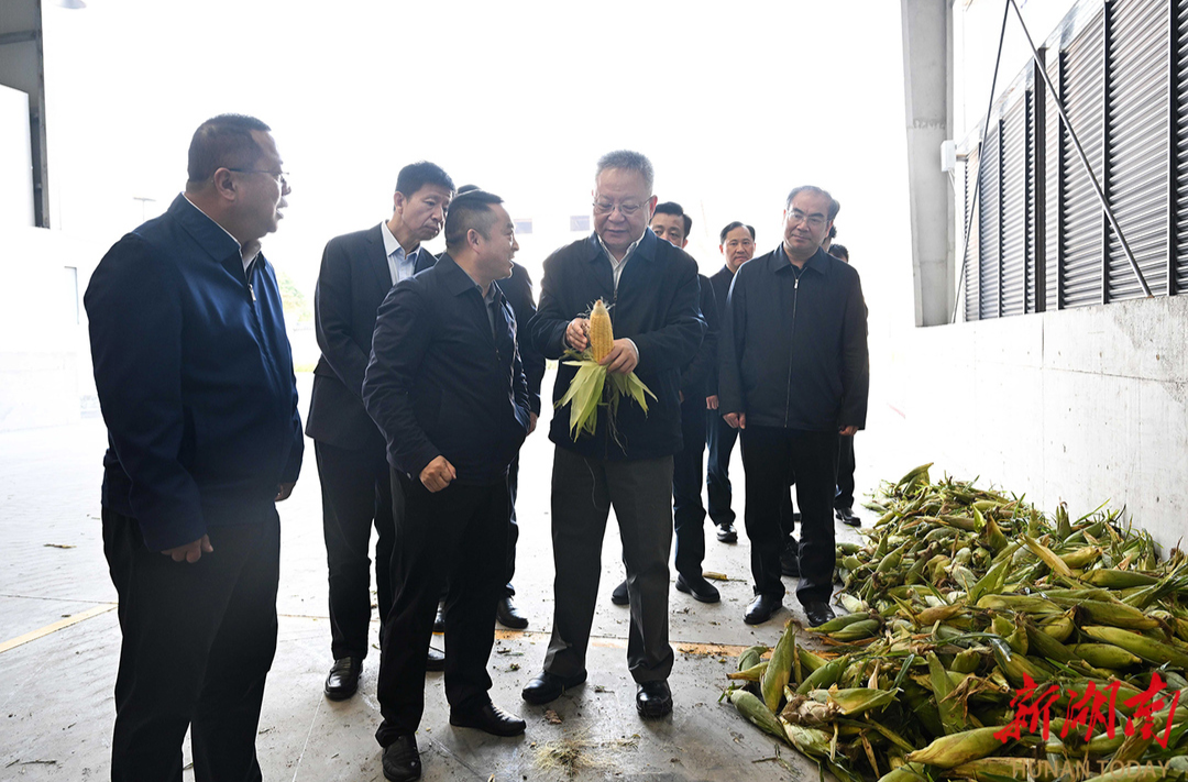 沈晓明调研张家界经济社会发展情况