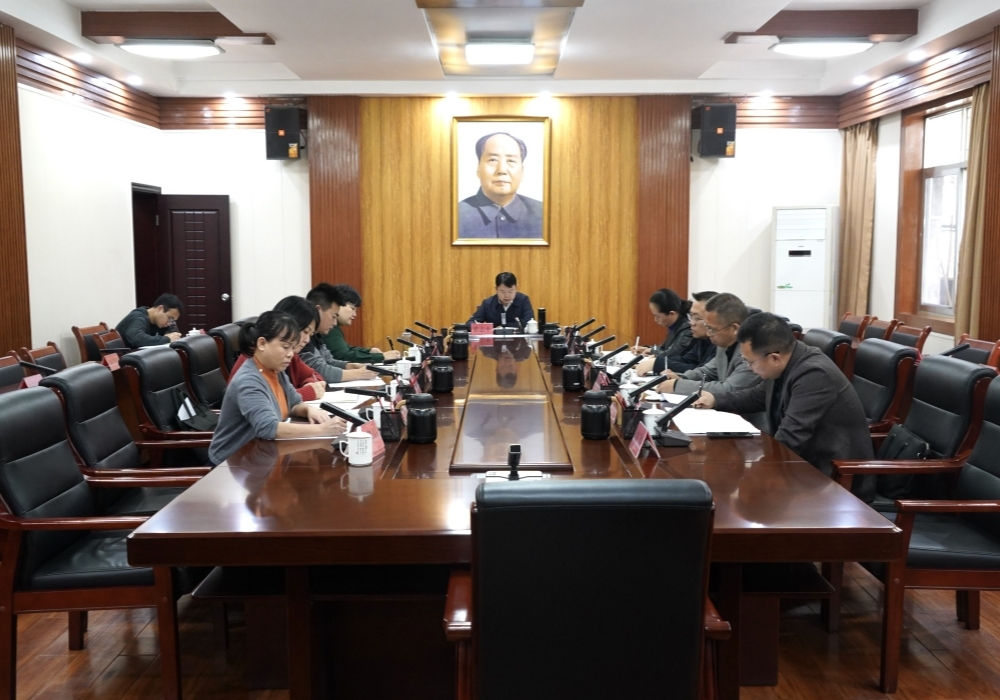 梁志平专项调度债务化解和融资平台数量压降工作