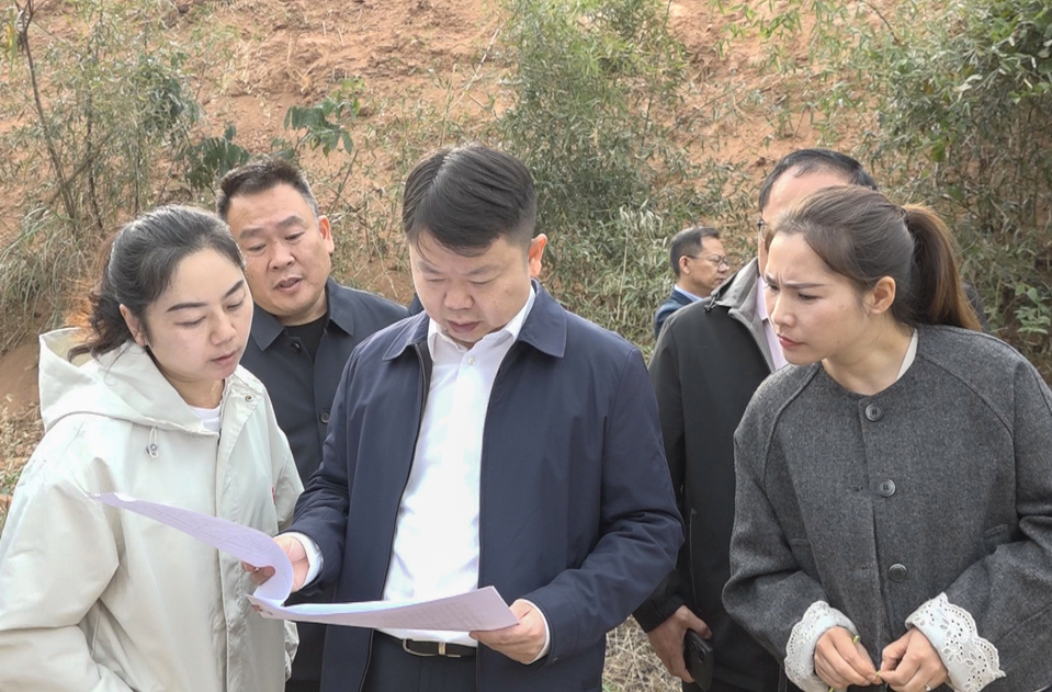梁志平在罗旧镇、牛牯坪乡督导乡村振兴工作