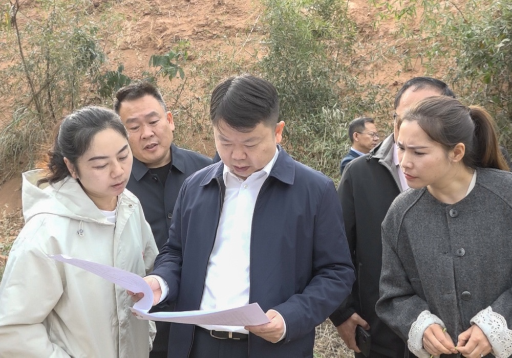 梁志平在罗旧镇、牛牯坪乡督导乡村振兴工作