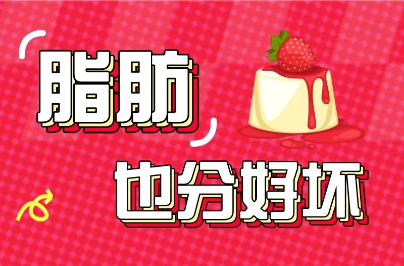 脂肪也分好坏 | 吃出健康来