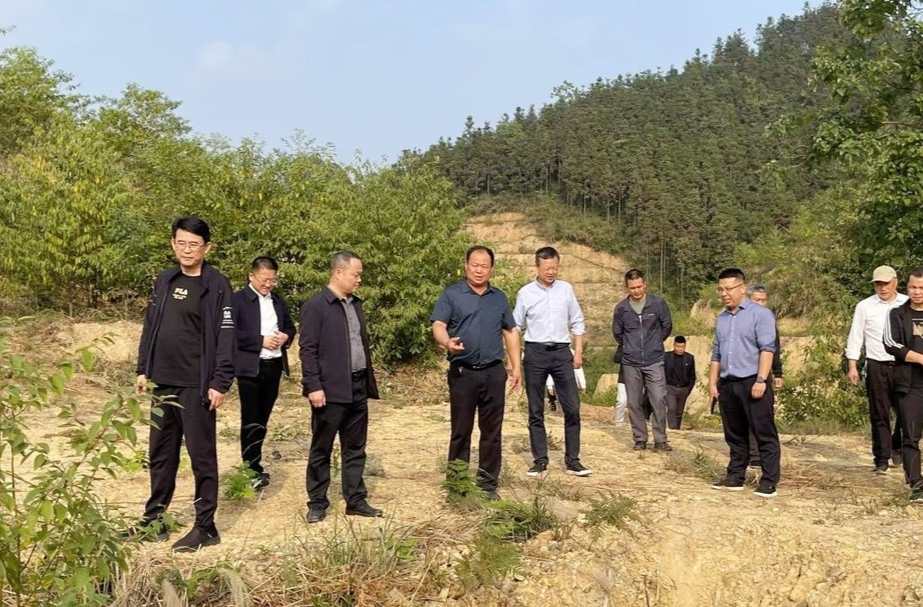 陈红利率队调研分水坳村集体经济产业发展情况