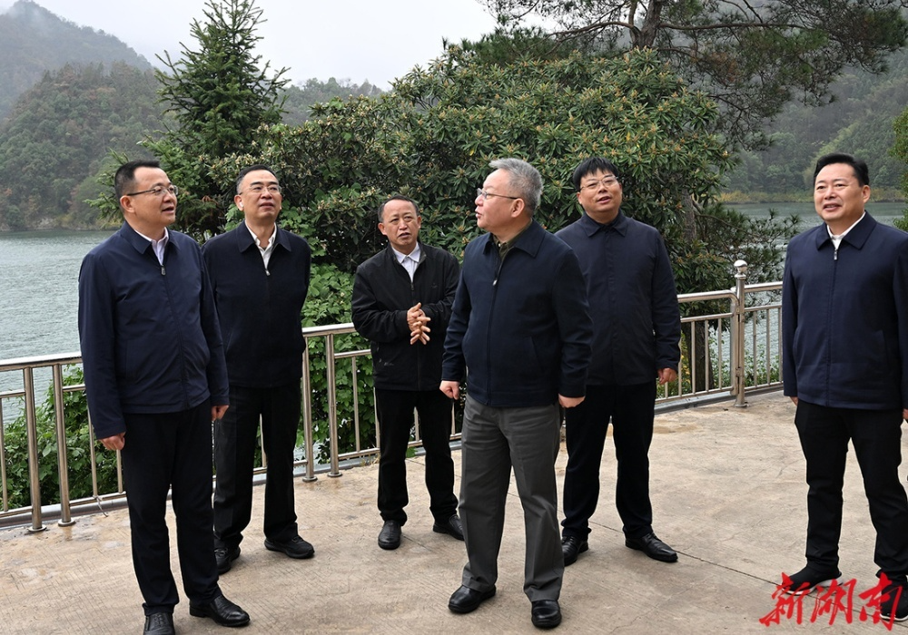 沈晓明调研益阳经济社会发展情况