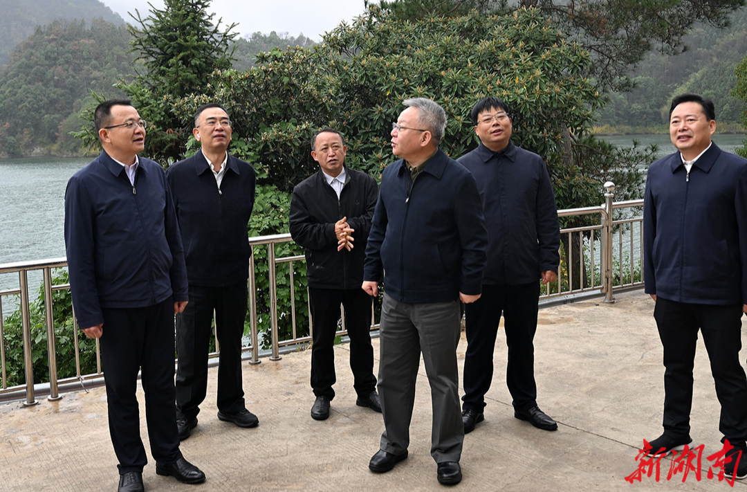 沈晓明调研益阳经济社会发展情况