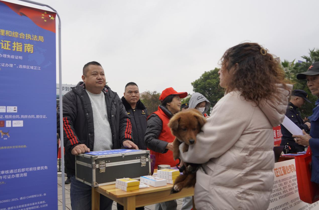 芷江城市管理和综合执法局开展城区养犬管理登记宣传活动 助力文明养犬新风尚
