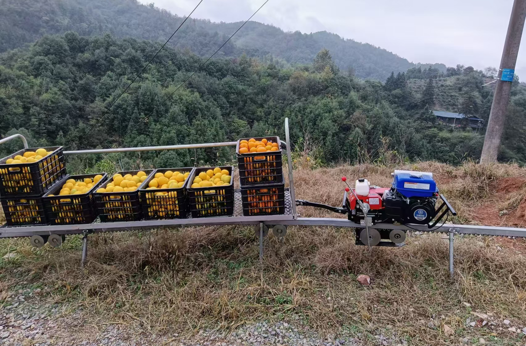 罗卜田乡：果园安装轨道运输车 果农省时省力又省钱