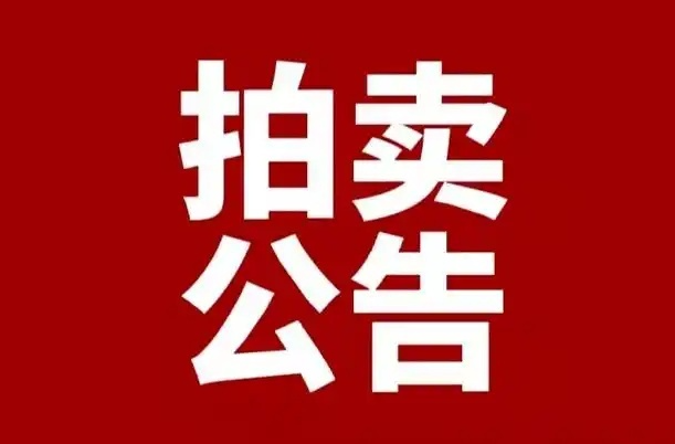 芷江侗族自治县国有资产拍卖公告