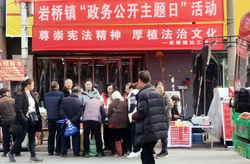 岩桥镇开展医保政策宣讲政务公开主题日活动