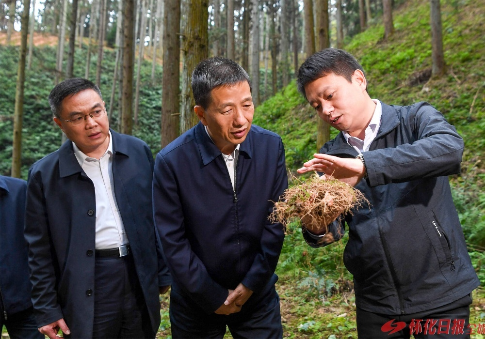 许忠建在会同县专题调研产业助力乡村振兴工作