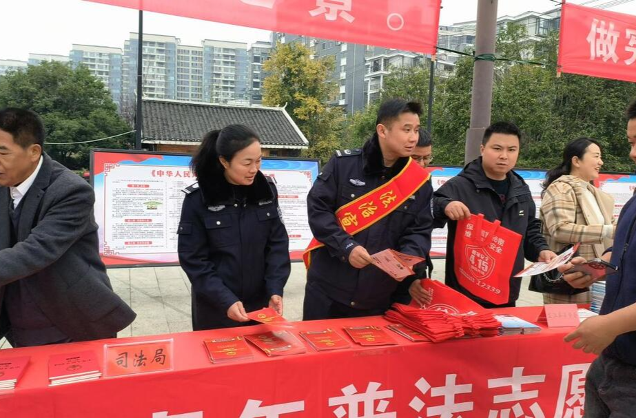 芷江司法局开展国家宪法日主题活动