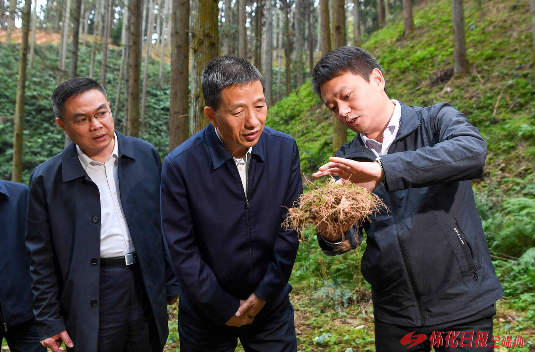 许忠建在会同县专题调研产业助力乡村振兴工作