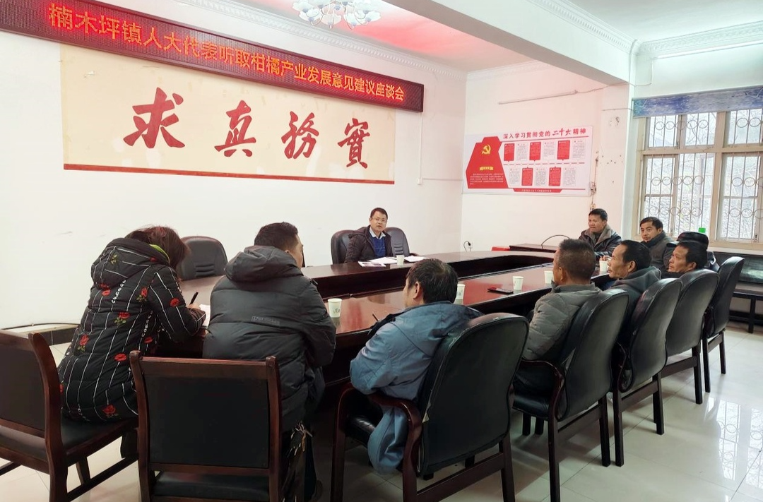 楠木坪镇人大：助力破解柑桔产业发展瓶颈难题
