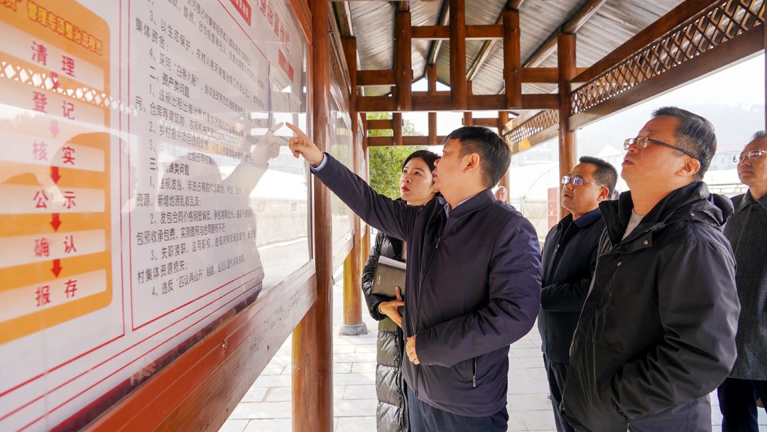梁志平赴新店坪镇调研督导乡村振兴、群众身边不正之风和腐败问题集中整治工作