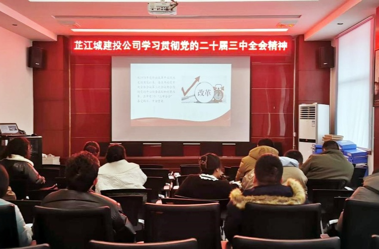 芷江城建投公司开展党的二十届三中全会精神视频培训