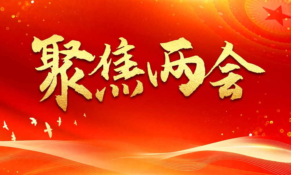 聚焦两会
