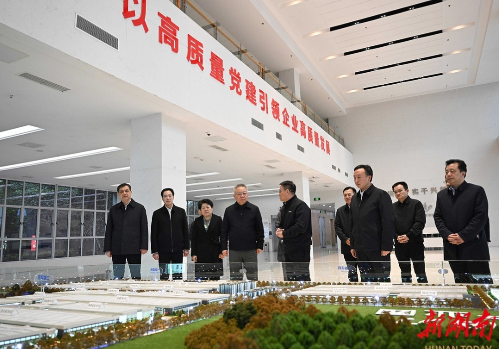 沈晓明调研长沙经济社会发展情况