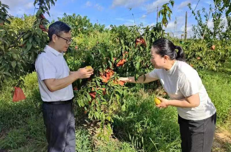芷江民政局关工委：五老成致富能人 荒土变示范基地