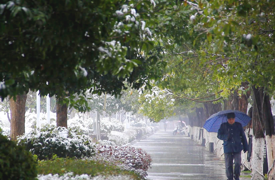 气象报告∣芷江未来一周晴雨（雪）相间 气温起伏大  8日至9日将出现今年首场降雪