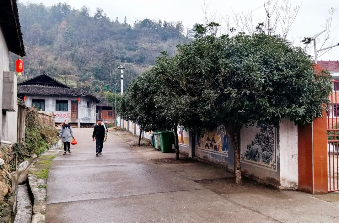 冷水溪乡冷水溪村：推进人居环境整治，共绘美丽宜居画卷