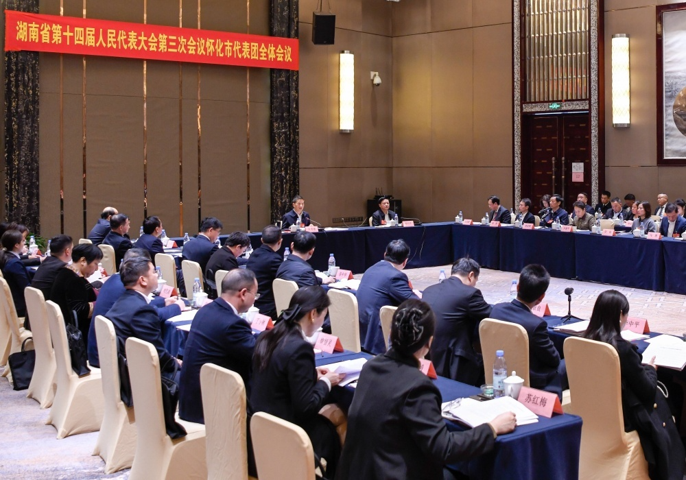 怀化市代表团举行第一次全体会议 许忠建主持并讲话