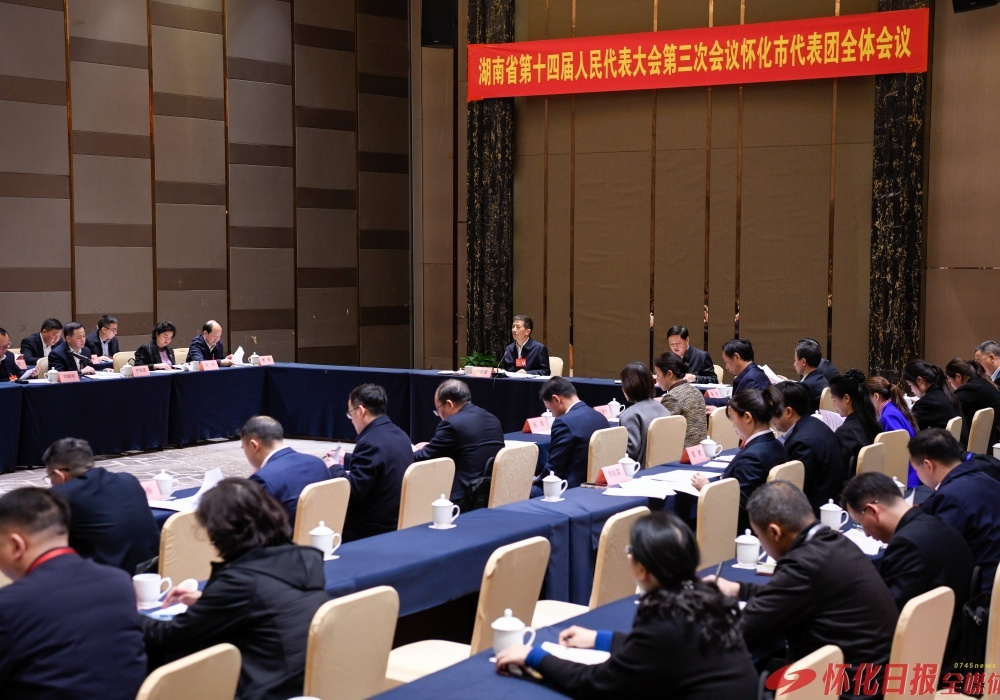 怀化市代表团举行第二次全体会议