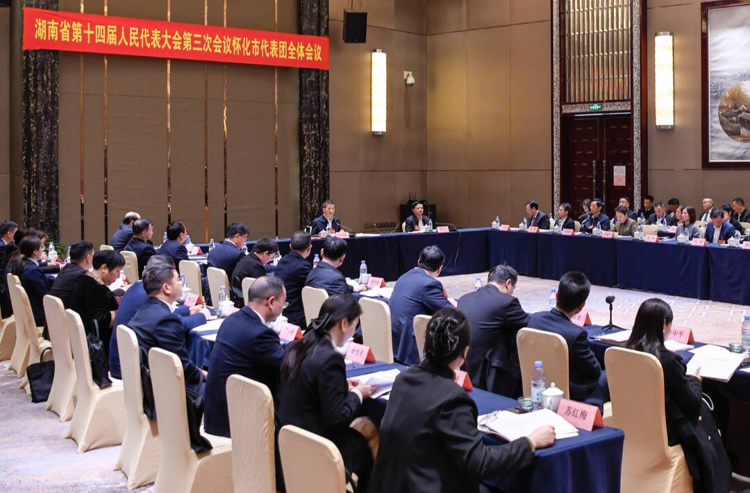 怀化市代表团举行第一次全体会议 许忠建主持并讲话