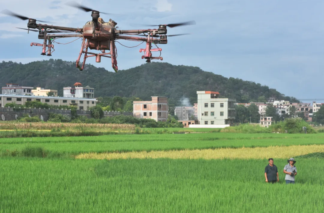 “两新”政策补贴扩围，湖南的农民朋友接住这些新福利