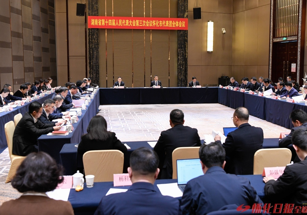 怀化市代表团举行第四次全体会议