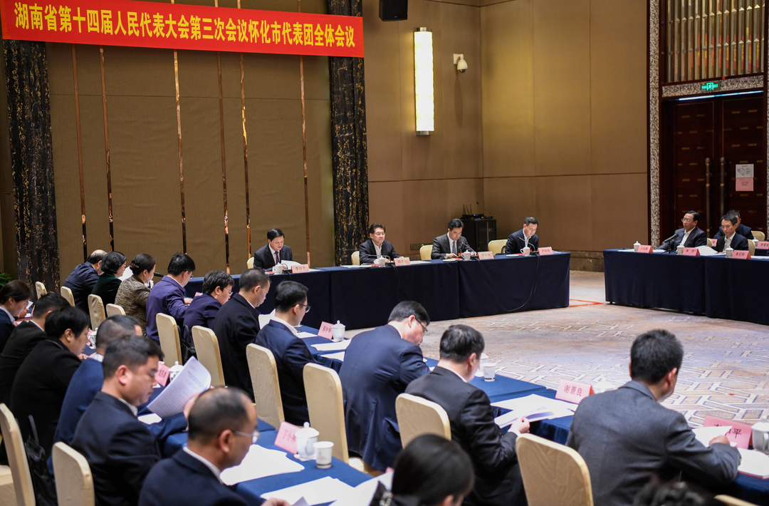 怀化市代表团举行第八次全体会议