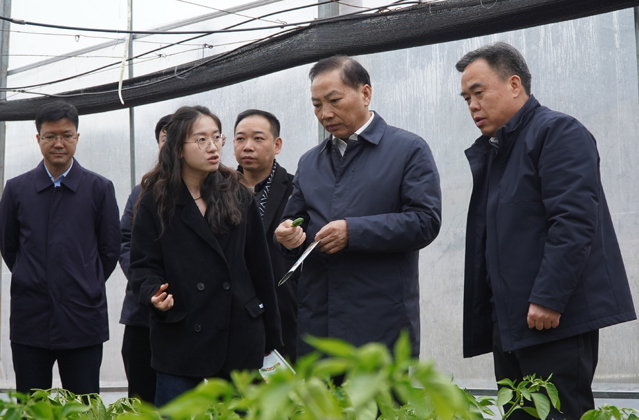 省委组织部副部长、省委编办主任陈潇一行来芷江调研乡村振兴工作并慰问