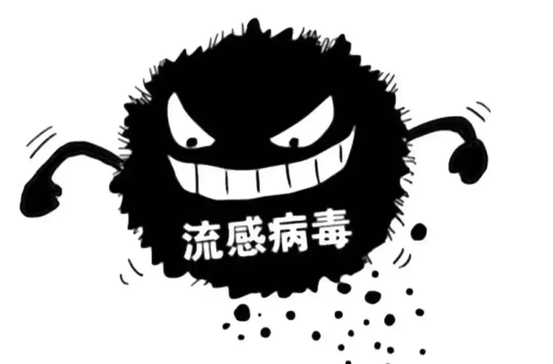 莫因流感引发意外！谨记“四要点”