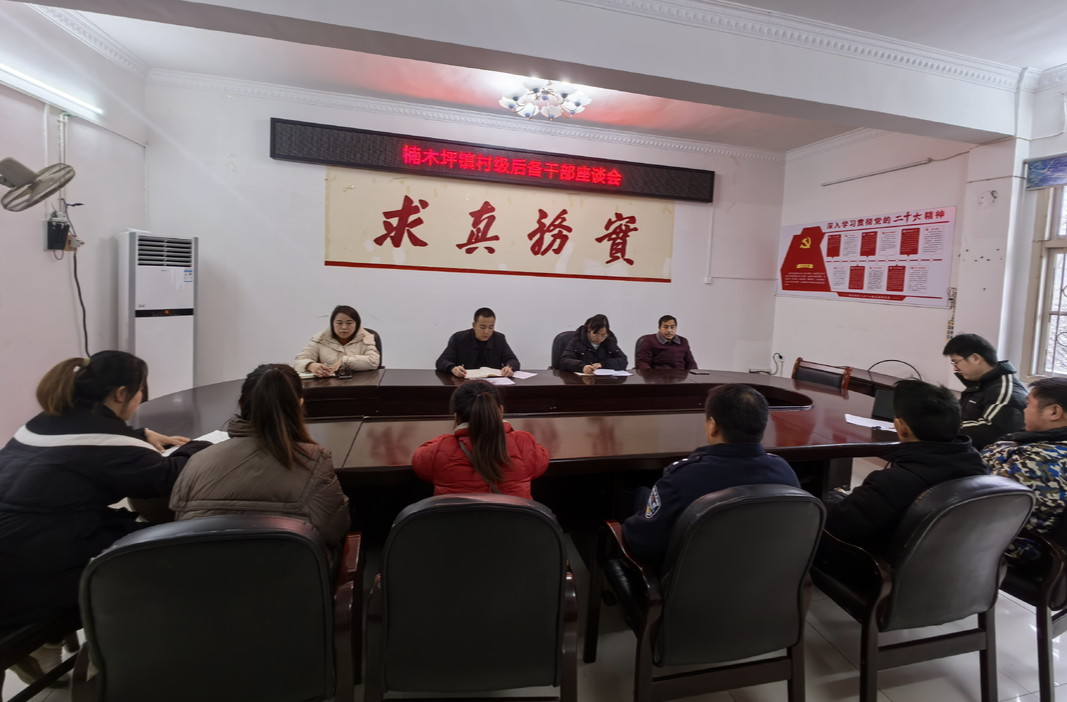 楠木坪镇召开村级后备干部座谈会