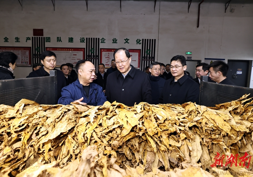 毛伟明在湘西州调研