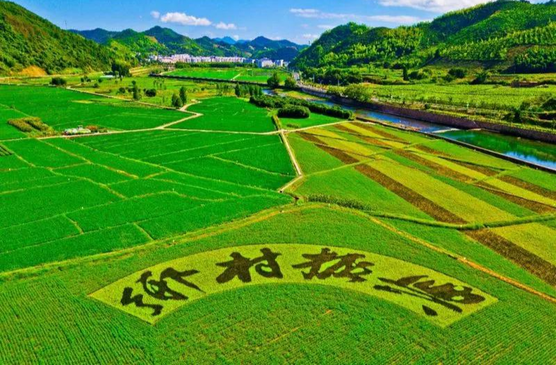 中共中央 国务院关于进一步深化农村改革 扎实推进乡村全面振兴的意见