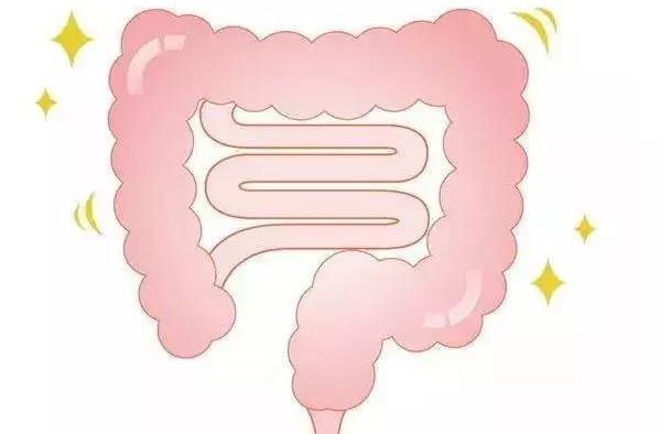 洗肠可以排毒……是真是假？ | 谣言终结站