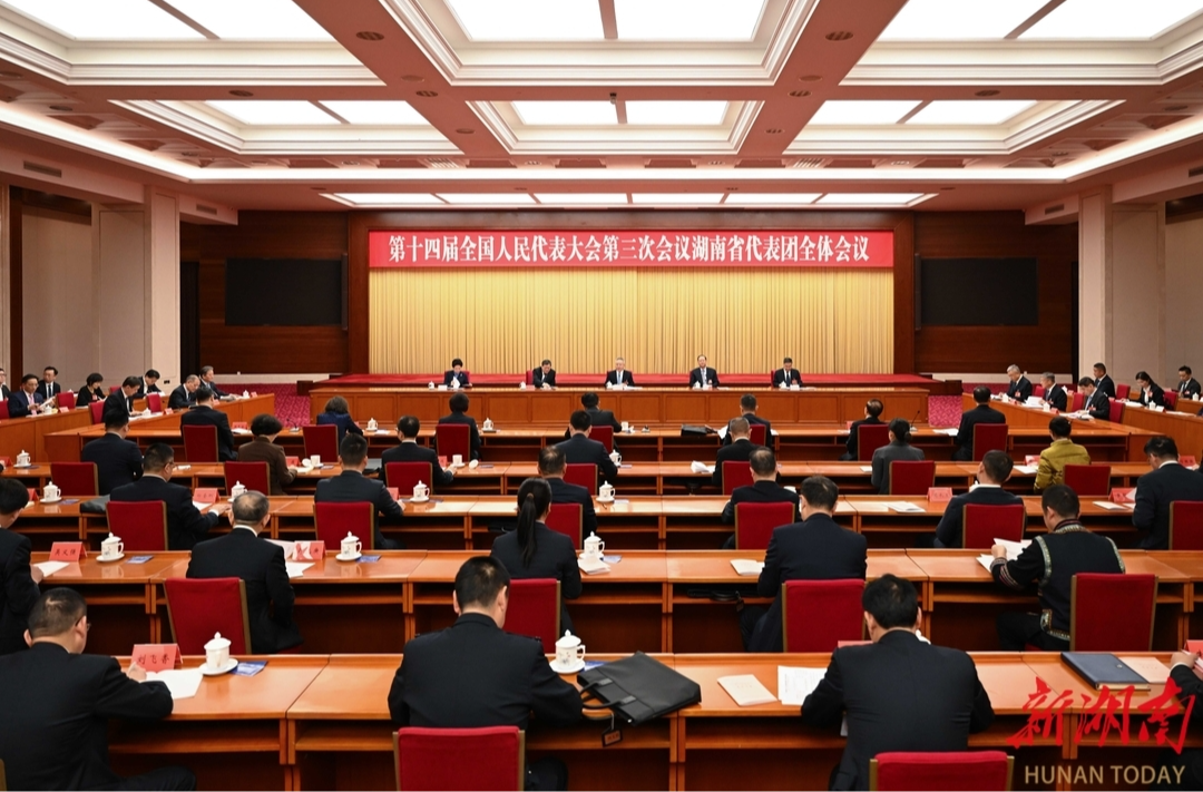 湖南代表团举行第一次全体会议