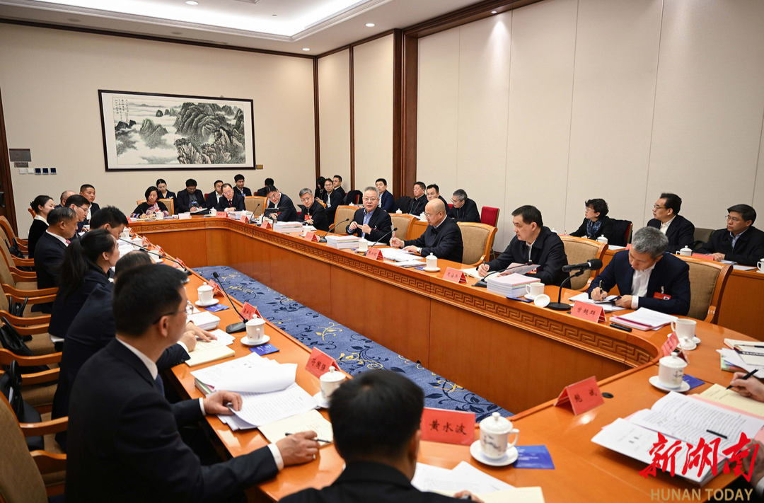 湖南代表团举行分组会议 沈晓明毛伟明等参加讨论