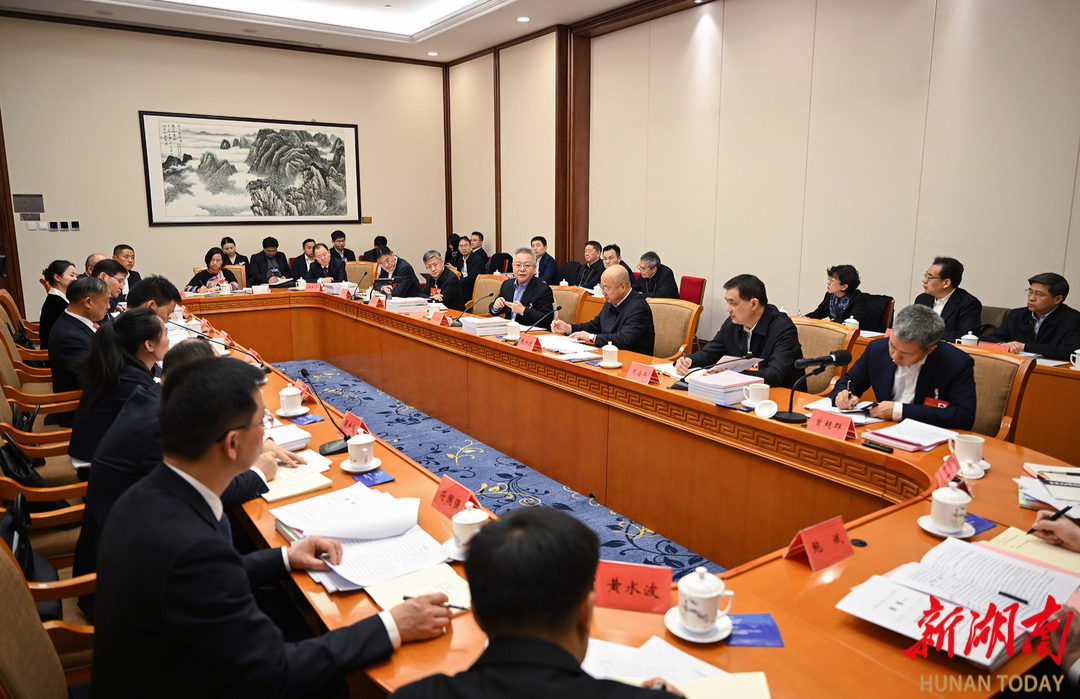 湖南代表团举行分组会议 沈晓明毛伟明等参加讨论