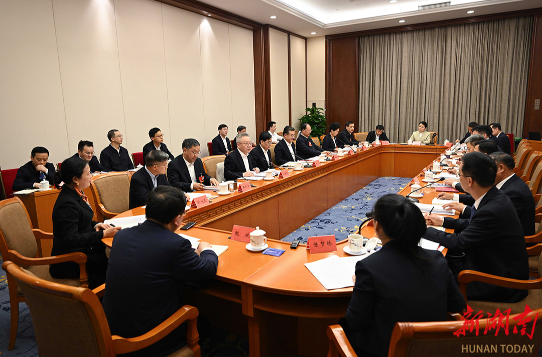 湖南代表团举行分组会议 审议全国人大常委会工作报告