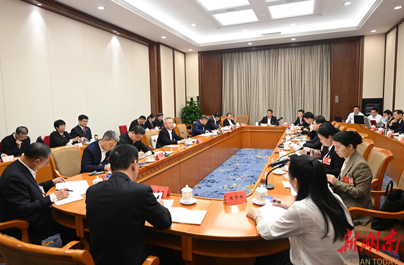 湖南代表团举行分组会议 沈晓明毛伟明等参加讨论