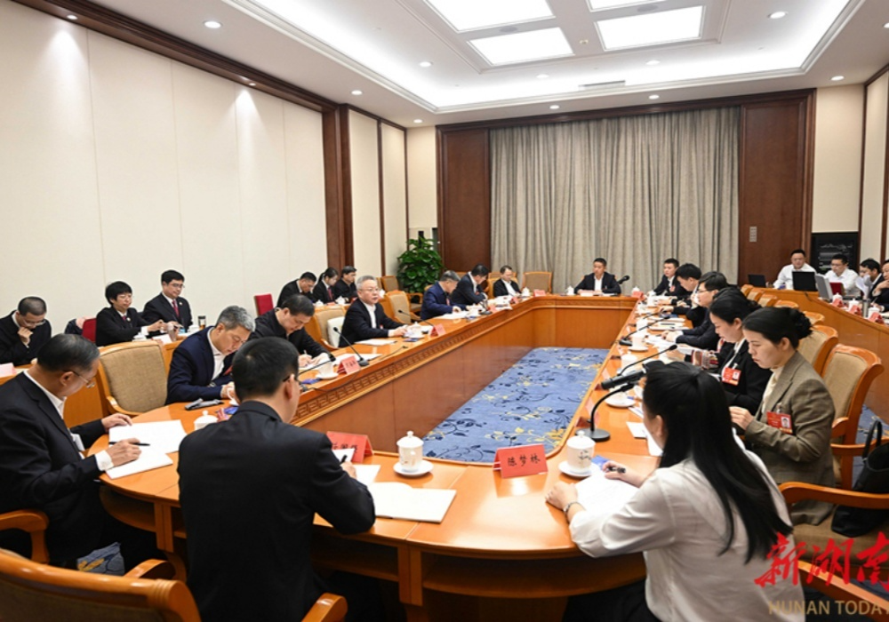 湖南代表团举行分组会议 沈晓明毛伟明等参加讨论