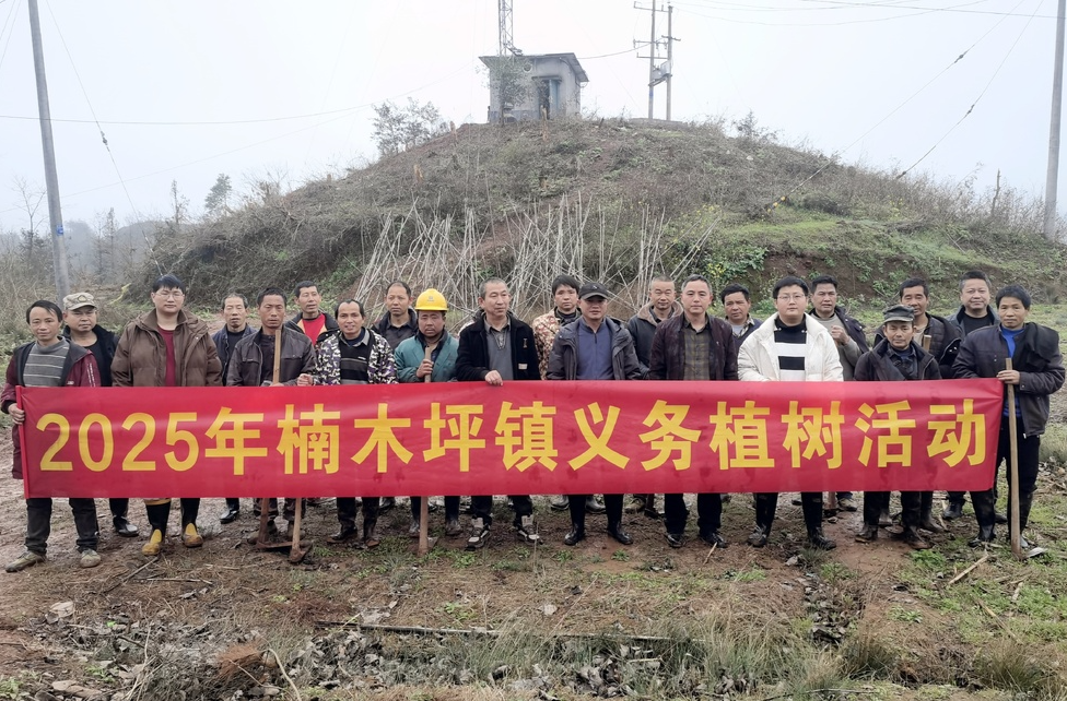 楠木坪镇：共建绿色家园，同绘生态画卷